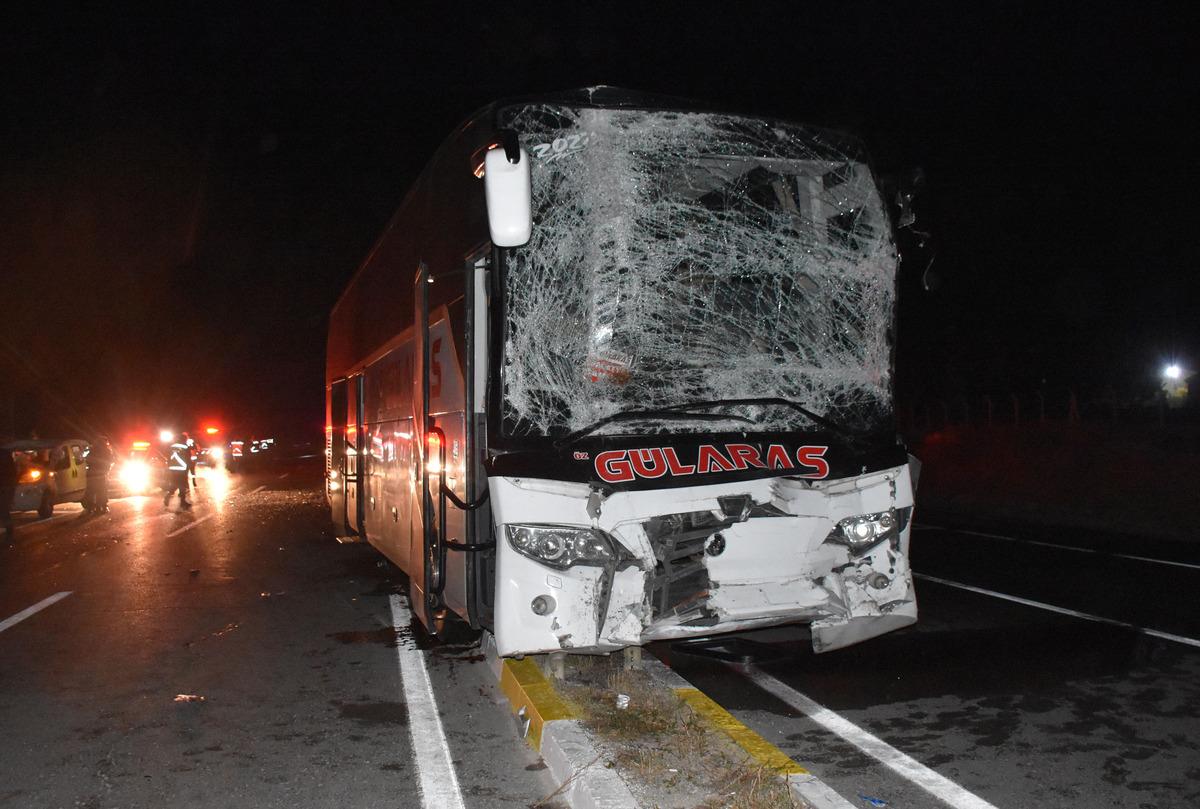 Yola &ccedil;ıkan at zincirleme kazaya neden oldu: 15 yaralı