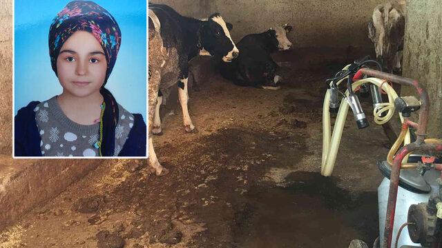 Kız çocuğu ahırda feci şekilde can verdi! Çığlıklarına uyandılar