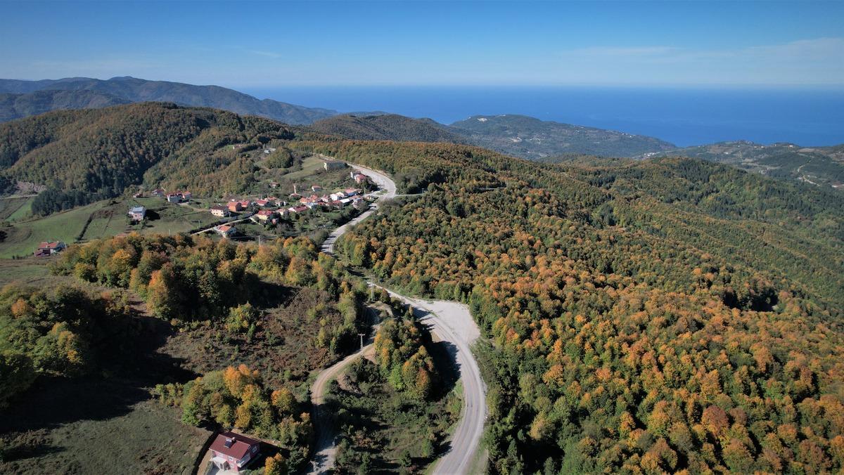 Kastamonu'nun Karadeniz'in mavisiyle b&uuml;t&uuml;nleşen ormanlarında sonbahar manzaraları h&uuml;k&uuml;m s&uuml;r&uuml;yor