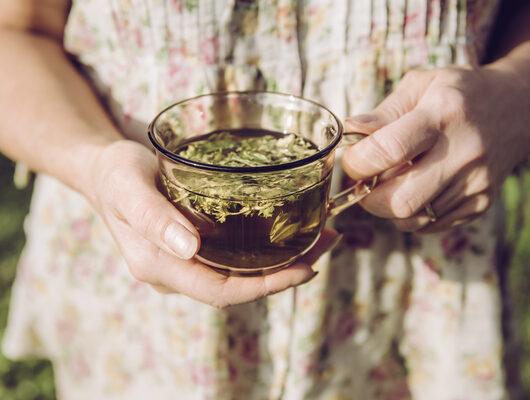 Adet ağrılarına birebir melisa çayı neye iyi gelir?