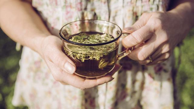 Melisa çayı neye iyi gelir, faydaları nelerdir? Melisa çayı nasıl hazırlanır, nasıl demlenir?