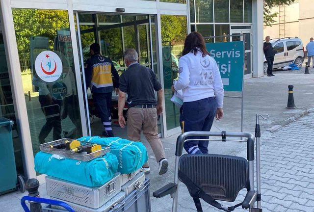 Sahiplenmek istediği &ccedil;oban k&ouml;peği kolundan ısırdı 1