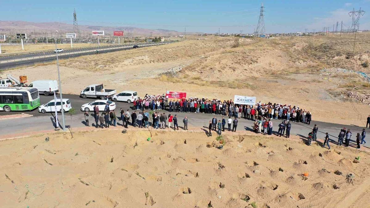 B&uuml;y&uuml;kşehir&rsquo;den şehitler anısına 251 fidan