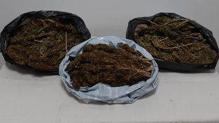 Mersin'de 10 kilo 248 gram skunk ele geçirildi