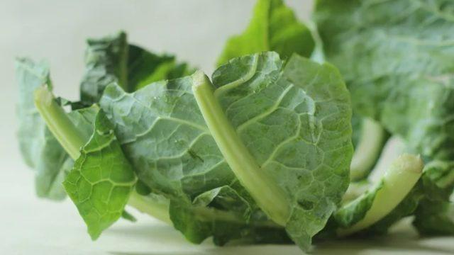 Bugüne kadar çöpe attığınız için pişman olacaksınız! Yapraklarının faydaları şok ediyor