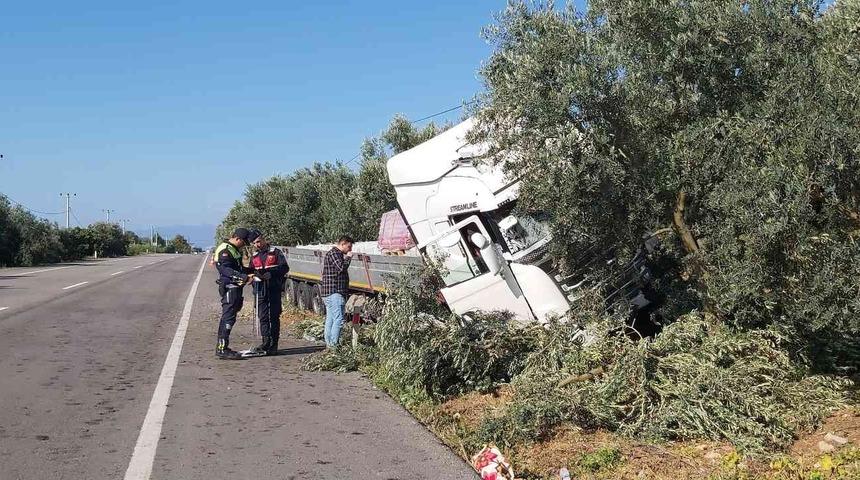 Uyuyan şof&ouml;r zeytinliğe daldı