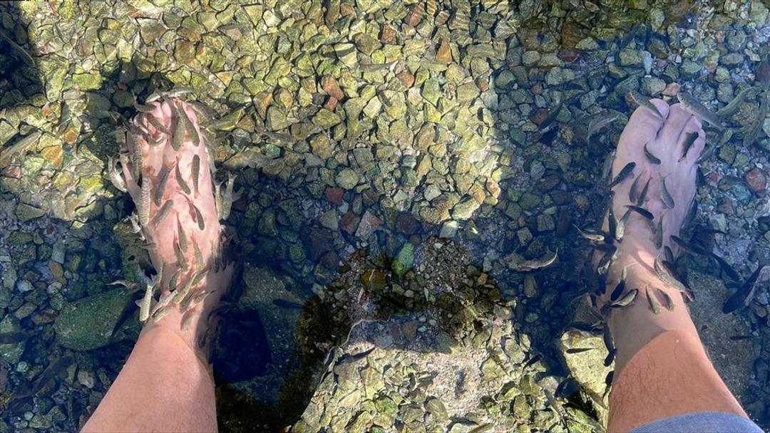 Tedavi s&uuml;reci 21 g&uuml;n s&uuml;r&uuml;yor! O hastalıklara iyi geldiğini duyan Sivas'a akın ediyor