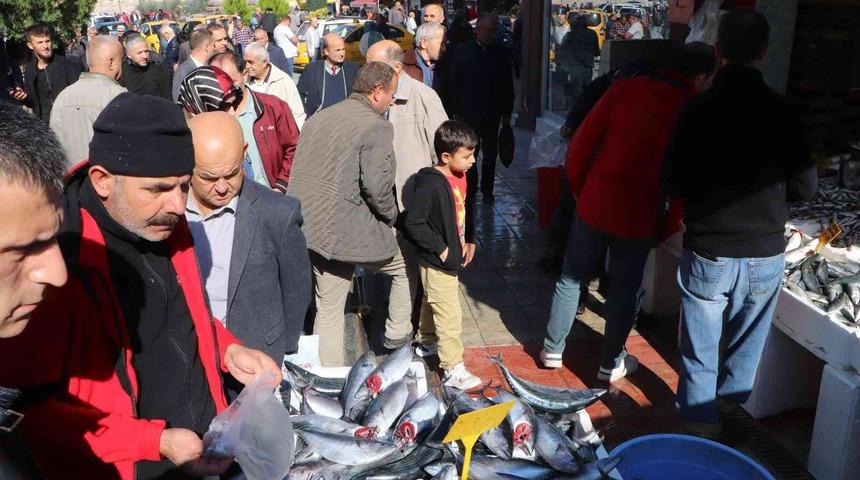 Vatandaşlar stok yapıyor! 3 tane palamut 90 TL
