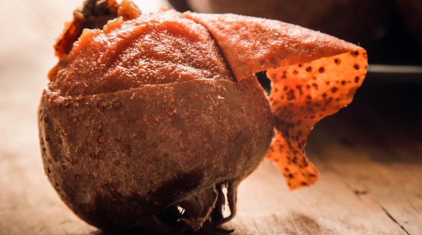 Tazesi tüketilmez çürüğünün tadına doyum olmaz! Faydaları say say bitmiyor