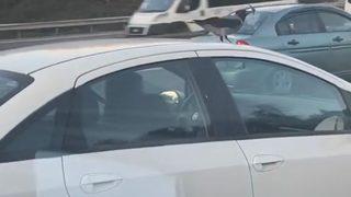 Sancaktepe’de araç üzerinde karganın yolculuğu görenleri şaşkına çevirdi