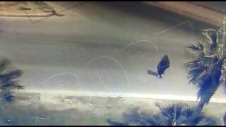 Mersin'de ilginç olay! Kadın kıyafetiyle yakalandı, bekçilere silah çekti