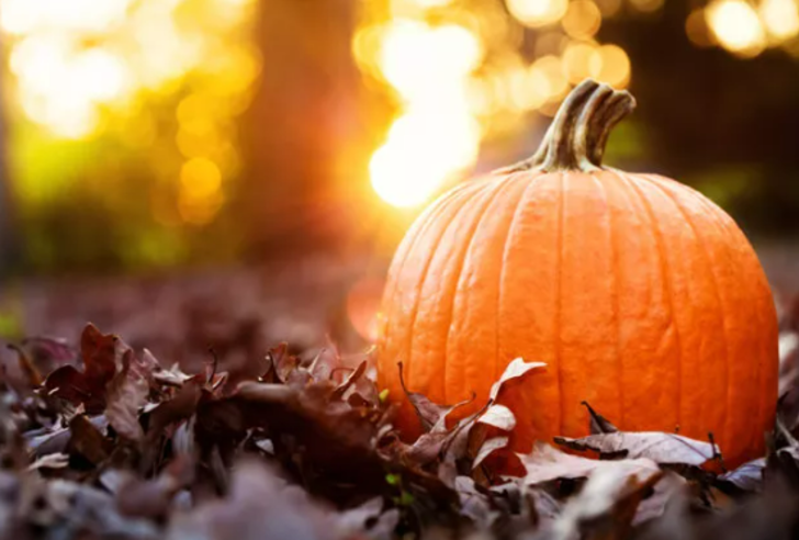 Tam mevsimi! Sofranızdan eksik etmeyin: Kış hastalıklarına karşı tam koruma sağlıyor G3