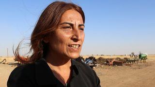 Aysel Tuğluk Ankara'da gözaltına alındı