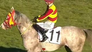 42. kez düzenlenen Cumhuriyet Koşusu'nu jokeyliğini Mustafa Çiçek'in yaptığı Kıyıcı kazandı!