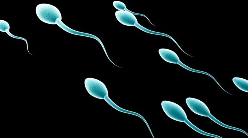 Sperm sağlığınıza dikkat edin