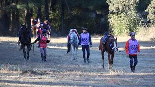29 Ekim Cumhuriyet Kupası Uluslararası Atlı Dayanıklılık Yarışması'nın sonuçları belli oldu