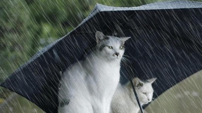 Hava durumu nasıl olacak?