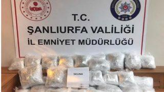 Şanlıurfa'da 20 kilogram skunk ile 800 gram esrar ele geçirildi