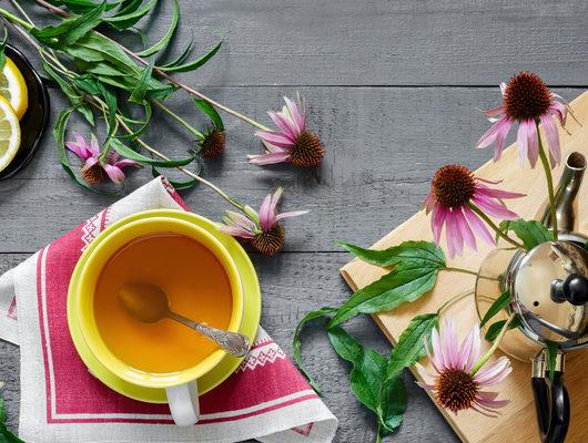 Adet söktürücü ekinezya çayı faydaları