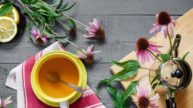 Ekinezya çayı neye iyi gelir, faydaları nelerdir? Ekinezya çayı nasıl demlenir, tarifi nedir?