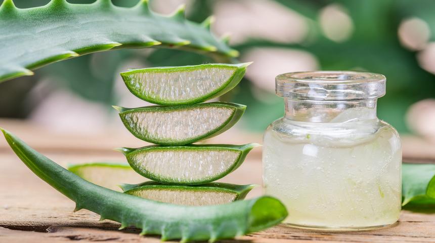 Aloe vera çayı faydaları nelerdir, neye iyi gelir? Aloe vera çayı nasıl yapılır ve demlenir?