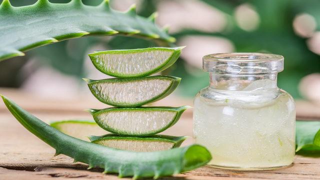 Aloe vera çayı faydaları nelerdir, neye iyi gelir? Aloe vera çayı nasıl yapılır ve demlenir?