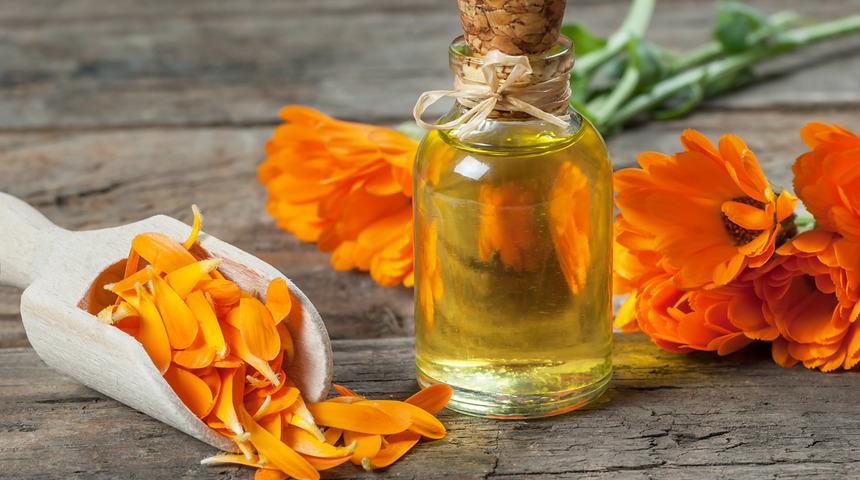 Aynı safa çayı faydaları nelerdir, neye iyi gelir? Aynı safa çayı nasıl yapılır ve demlenir?