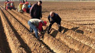 Mazot ve gübre desteği ödemeleri ne zaman yatacak? Bakan Kirişci'den son dakika açıklaması! İşte mazot ve gübre destekleri ödeme tarihi...
