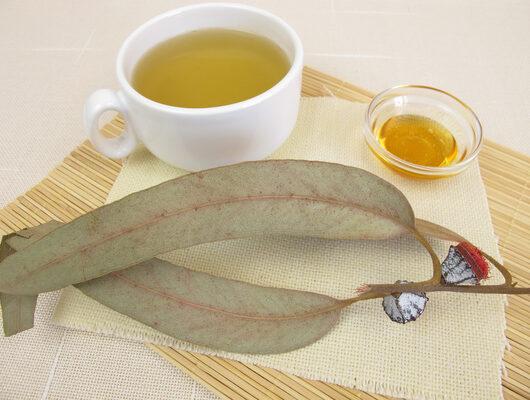 Stresi sakinleştiren okaliptus çayı faydaları