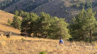 Ormanda korkunç bir manzarayla karşılaştılar! Kayıptı... İple ağaca asılı halde bulundu