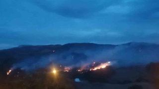 İzmir’de orman yangını: Yoğun uğraşlar sonucu söndürüldü! 28 hektarlık alan...