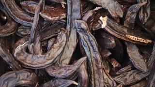 Enerji veriyor, cinsel gücü artırıyor! İşte tarifi...