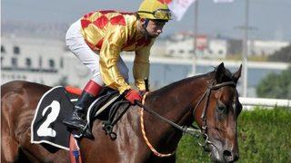 Bursa'da denize giren jokey Ediz Arslan kayboldu