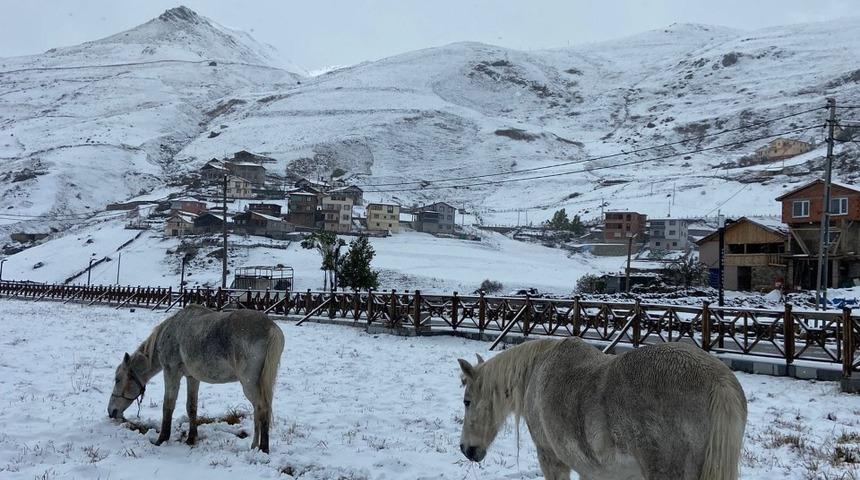 Anzer Yaylasında kartpostallık görüntüler