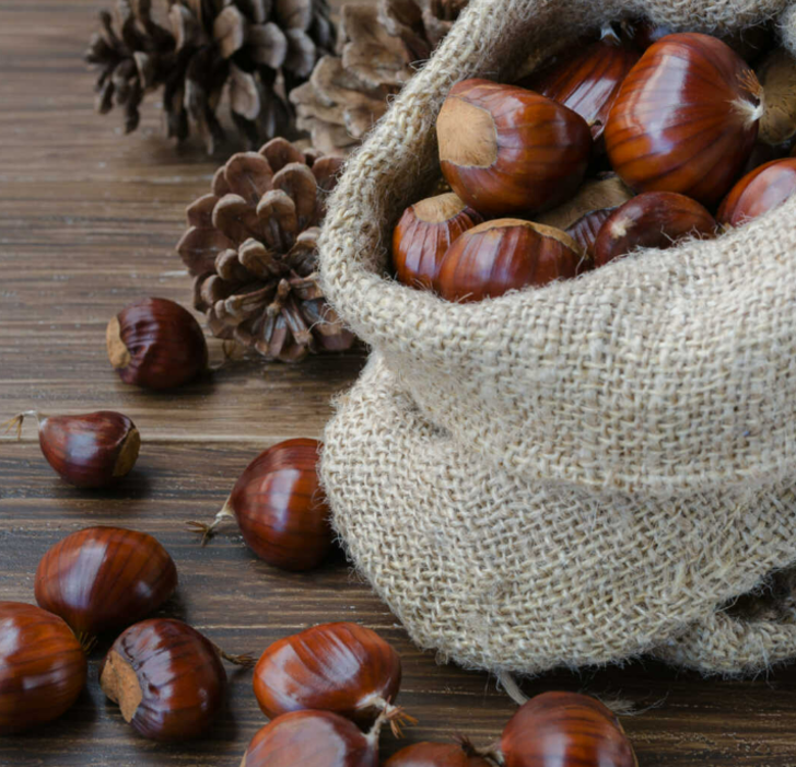 Kestane yapmak artık çok kolay! Püf noktalarıyla sokak kestanesi tarifi G2