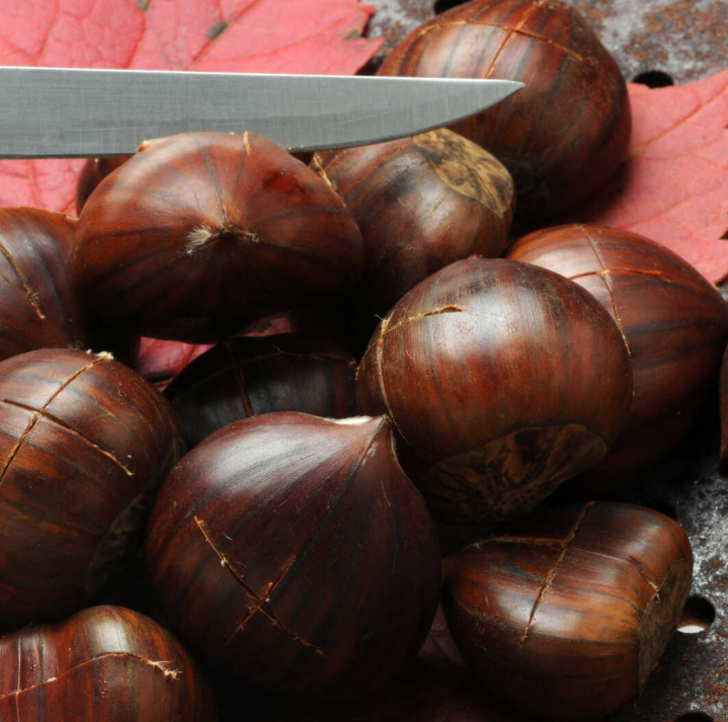 Kış aylarının vazgeçilmezi meğer şifa deposuymuş! Kolesterolü düşürüyor, kanserden koruyor! G2