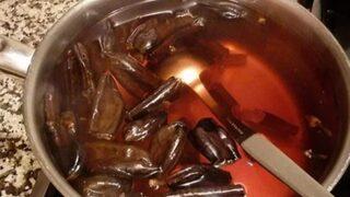 Binlerce yıldır şifa kaynağı: Faydaları saymakla bitmiyor! Cinsel gücü artırıyor, akciğeri tertemiz yapıyor