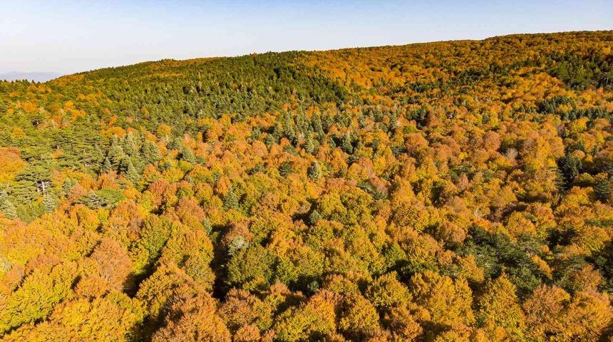 Kazdağları’nın eşsiz sonbahar güzellikleri dron ile görüntülendi