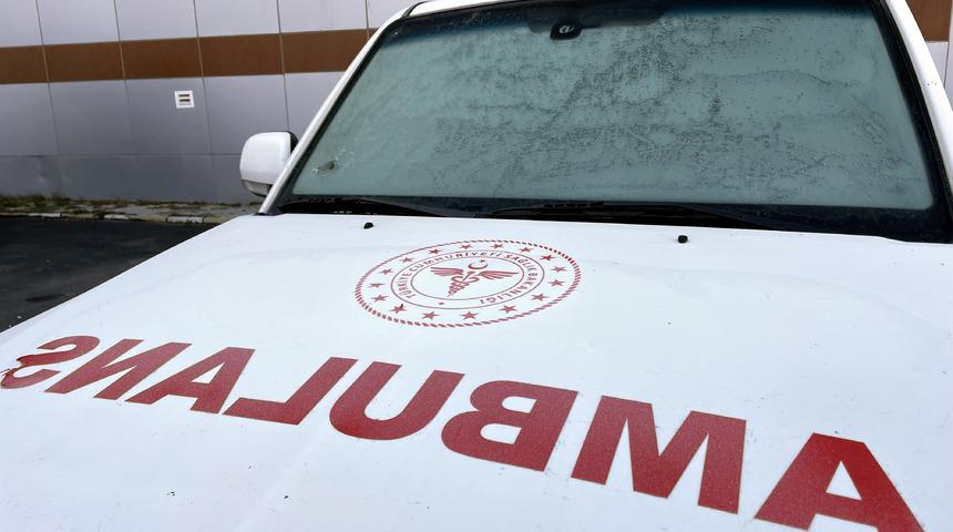 Ardahan ve Kars'ta araç camları buz tuttu, bitkiler kırağıyla kaplandı