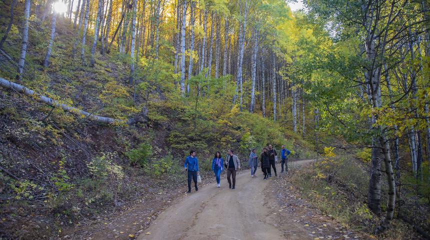 Doğa tutkunları Tunceli'deki Salördek ormanlarında stres atıyor