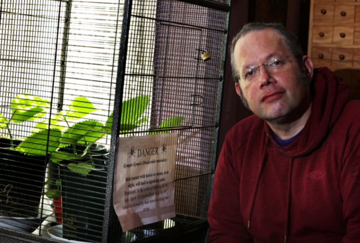 Dünyanın en tehlikeli bitkisini yetiştirdi! Dokunanı öldürüyor... “Aynı anda sıcak asitle yanıp elektrik çarpması gibi” G4