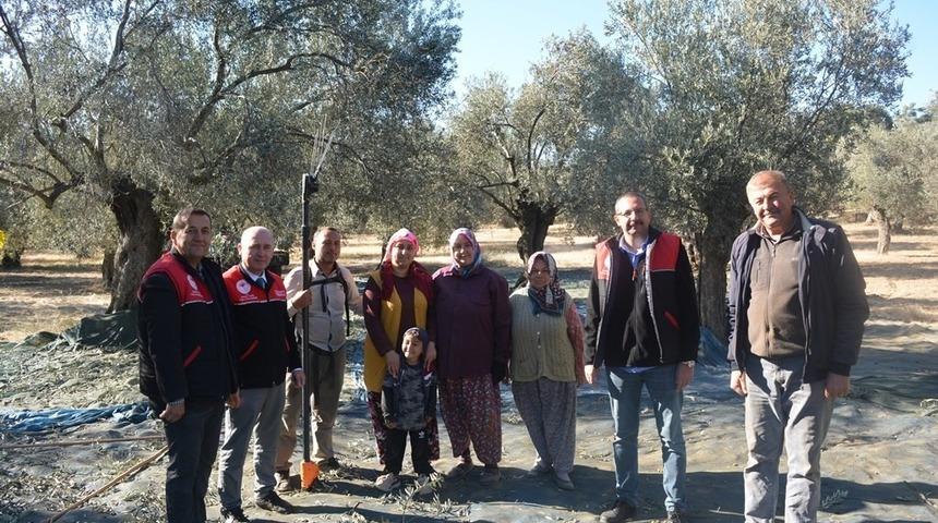 Kaymakam &Ouml;zderin zeytin hasadına katıldı