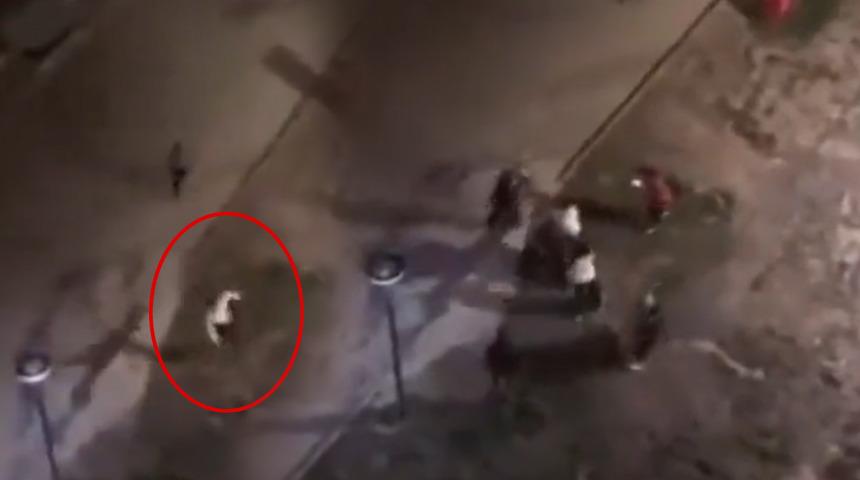 KYK kız yurduna satırla daldı, kızların çığlıkları ortalığı inletti! "Polisi ara çabuk polisi ara"