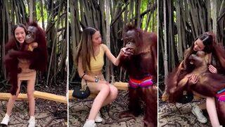 Hayvanat bahçesinde flörtöz anlar! Sevimli orangutan güzel ziyaretçiden etkilenince olanlar oldu
