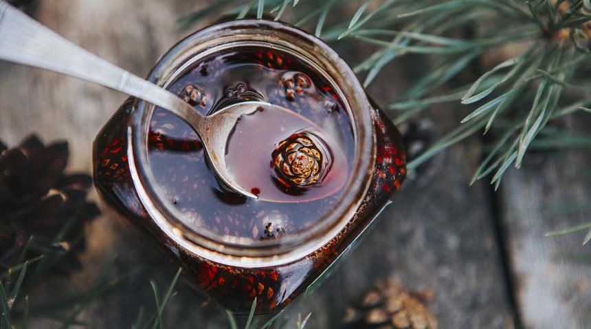 Kozalak şurubu nasıl tüketilir, evde kozalak şurubu nasıl yapılır? Çam kozalağı suyu şurubu ne kadar içilmeli?