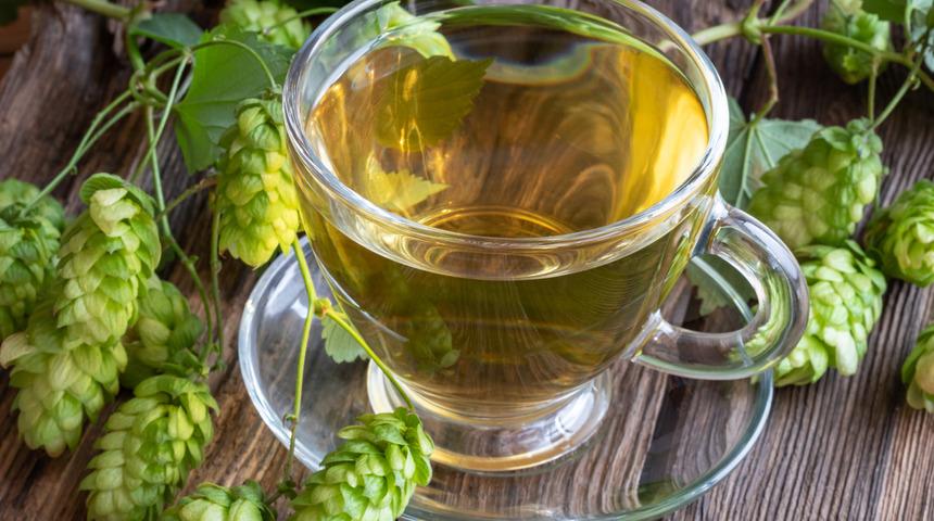 Şerbetçi otu çayı neye iyi gelir, faydaları nelerdir? Şerbetçi otu çayı nasıl hazırlanır, nasıl demlenir?