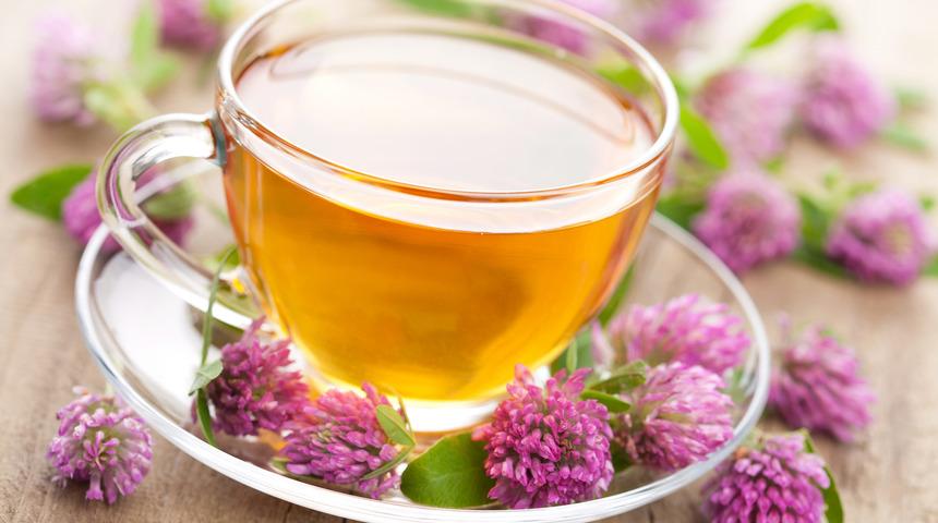 Kırmızı yonca çayı faydaları nelerdir, neye iyi gelir? Kırmızı yonca çayı nasıl yapılır ve demlenir?