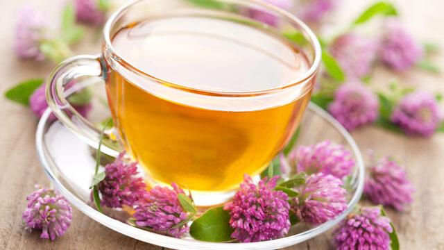 Kırmızı yonca çayı faydaları nelerdir, neye iyi gelir? Kırmızı yonca çayı nasıl yapılır ve demlenir?