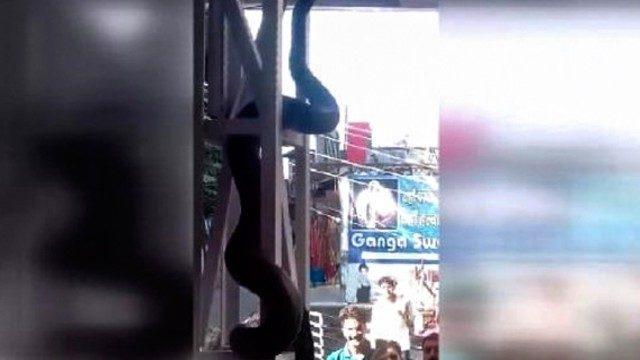 Hindistan’da kaydedilen anakonda videosu viral oldu