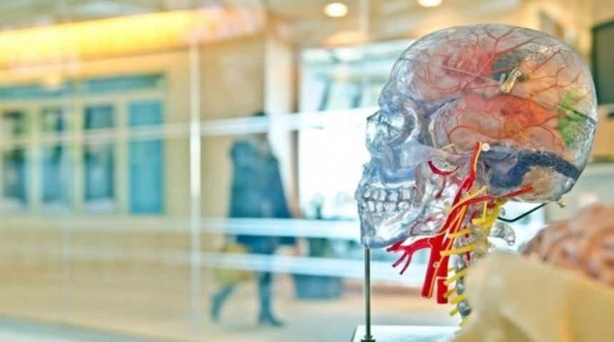 Bilim dünyasında çığır açacak! Beyin ve omurilik arasında yeni bir bağlantı bulundu 